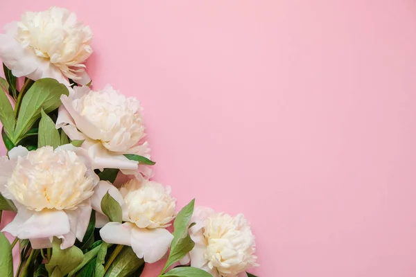 Цветочная рамка со свежими ветвями белого пиона на розовом фоне с копировальным пространством, вид сверху, плоский узор . — стоковое фото