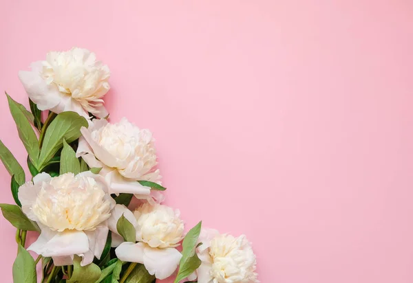 Marco de flores con ramas frescas de pionia blanca sobre fondo rosa con espacio para copiar, vista superior, disposición plana . — Foto de Stock