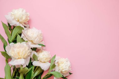 Kopya alanı ile pembe arka plan üzerinde beyaz piony taze dalları ile Çiçek çerçeve, üst görünüm, düz yatıyordu.