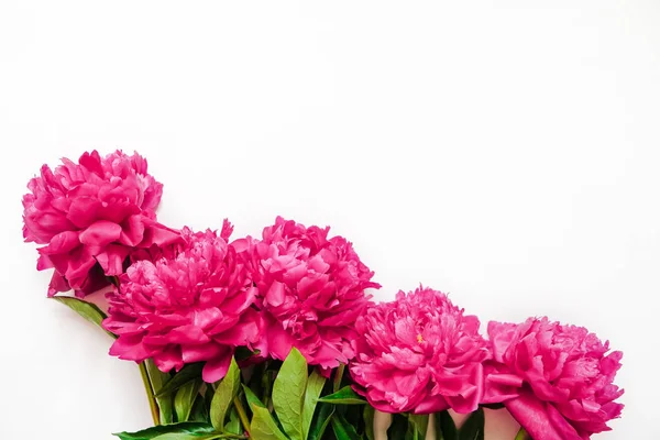 Cadre fleuri avec branches fraîches de pivoine rose isolé sur fond blanc avec espace de copie, vue de dessus, pose plate . — Photo