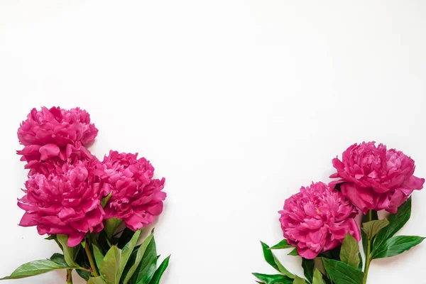 Marco de flores con ramas frescas de pionia rosa aisladas sobre fondo blanco con espacio para copiar, vista superior, disposición plana . — Foto de Stock