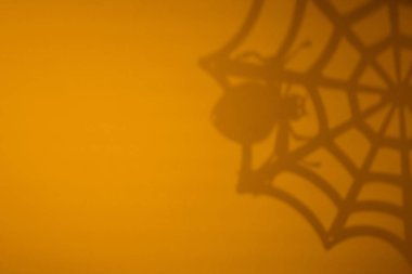 Siyah örümcek ağlı turuncu cadılar bayramı arkaplanı