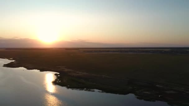 Vista aérea: Vuelo sobre el hermoso río en los campos verdes. Luz suave puesta de sol con cielo nublado pastel — Vídeo de stock