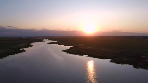 空中ビュー:緑のフィールドで美しい川の上のフライト。パステル曇りの空と日没ソフトライト — ストック動画
