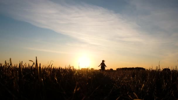 Pareja romántica corriendo en el campo de trigo. El hombre toma a la mujer en el aire y la da la vuelta. Concepto de amor y felicidad — Vídeos de Stock