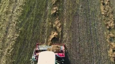 Close-up Aerial view combine harvester collects ripe wheat leaving behind a cloud of dust in a wheat field