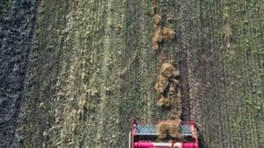 Close-up Aerial view combine harvester collects ripe wheat leaving behind a cloud of dust in a wheat field