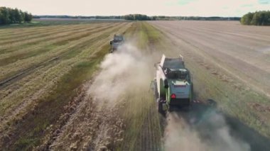 Aerial view of two combine harvester gathering ripe wheat. Harvesting grain field