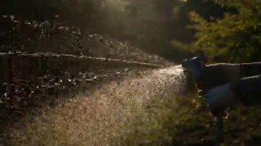 Bahçede su püskürtücüsüyle çiçekleri sulayan eller. Akşam günbatımında su fışkırtır ve sıçrar..