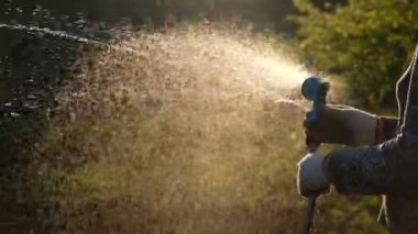 Bahçede su püskürtücüsüyle çiçekleri sulayan eller. Akşam günbatımında su fışkırtır ve sıçrar..