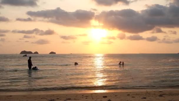 Amanecer dorado en la isla de palmeras de playa. Colores naranjas amanecer y olas. Naturaleza sol amanecer palmeras playa fondo. Cielo amarillo, hermosas palmeras en la playa. Koh Samui, Tailandia — Vídeo de stock