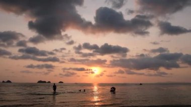 Plaj palmiyeleri adasında altın gün doğumu. Turuncu renkler gündoğumu ve dalgalar. Doğanın güneş doğuşu palmiyelerin plaj arka planı. Sarı gökyüzü, sahilde güzel palmiye ağaçları. Koh Samui, Tayland