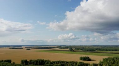 Bulutlu bir sonbahar gününde sonsuz tarla manzarası. Drone kırsal kesimlerdeki buğday tarlaları üzerinde uçuyor. Açık Mavi Gökyüzü.
