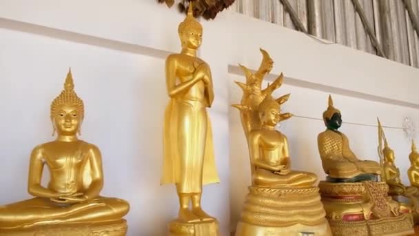 KO SAMUI, TAILANDIA - 26 DE FEBRERO DE 2020: Estatua del monje orante Luang Phor Thuad en Wat Bo Phuttharam, koh Samui, Tailandia en el pintoresco parque verde — Vídeo de stock