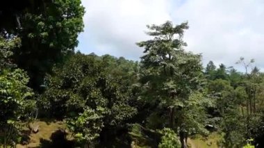 Koh Samui Adası 'nın kuş bakışı panoramik üst görüntüsü. Tayland 'ın tropik cennet beldesi. İdealik doğal arkaplan