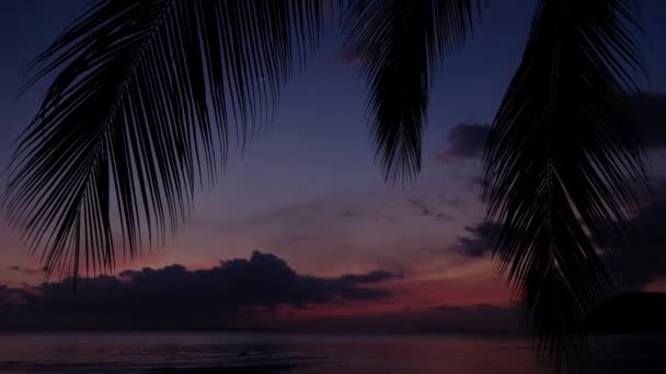 Denizde kızıl gün batımı. Ön planda palmiye ağacı silueti. Kızıl gökyüzü, pembe güneş ve inanılmaz deniz. Yaz günbatımı deniz manzarası. Tropik Okyanus plaj günbatımı. Fantastik doğal güneş ışığı. — Stok video