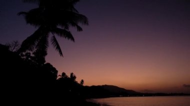 Denizde kızıl gün batımı. Ön planda palmiye ağacı silueti. Kızıl gökyüzü, pembe güneş ve inanılmaz deniz. Yaz günbatımı deniz manzarası. Tropik Okyanus plaj günbatımı. Fantastik doğal güneş ışığı.