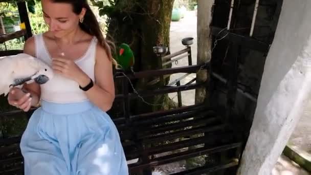 KO SAMUI, THAILAND - 26 ΦΕΒΡΟΥΑΡΙΟΥ 2020: Paradise Park. Γυναίκα χαϊδεύοντας και ξύνοντας λευκό παπαγάλο cockatoo — Αρχείο Βίντεο