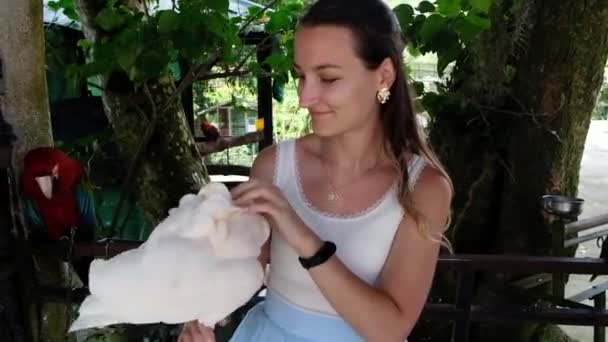 KO SAMUI, THAILAND - FEBRUARY 26, 2020: Paradise park. Žena hladí a poškrábání bílý papoušek cockatoo — Stock video