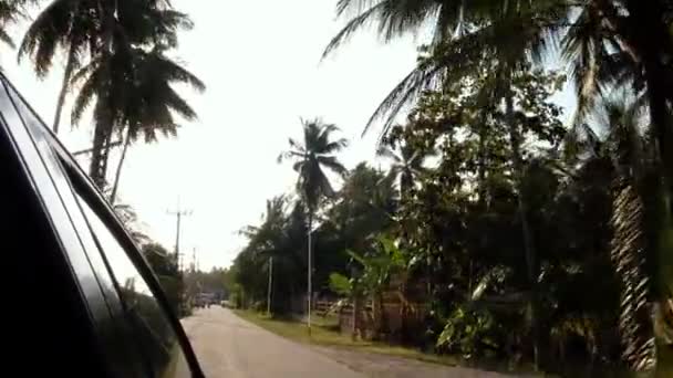 Palm Trees 'e bakarken kamerayla geniş açı. Tropik tatil. Güneşli mavi gökyüzünün altından geçen Palmiye ağaçlarının manzarası. — Stok video