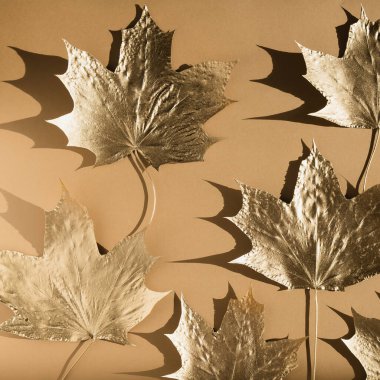 Sonbahar kompozisyonu. Çıplak arkaplanda sonbahar altın mermer yapraklarından yapılmış desen. Düz konum, üst görünüm, kopyalama alanı