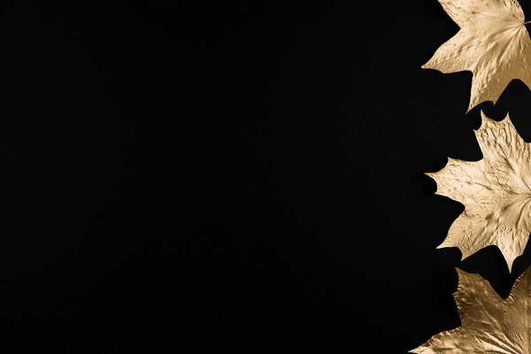Осенняя композиция. Рамка из осенних золотых кленовых листьев на черном фоне. Плоская кладка, вид сверху, копировальное пространство
