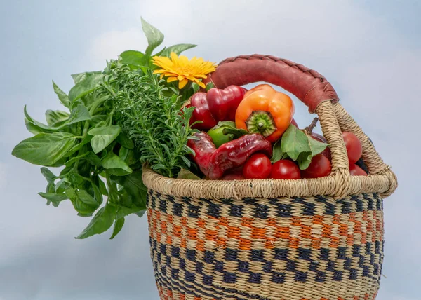 Close Sobre Orgânicos Frutas Aparência Natural Ervas Legumes Colhidos Califórnia — Fotografia de Stock