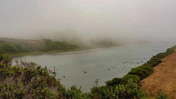 Landscape View Russian River Duncans Mills California Usa Very Foggy — Stock Photo, Image