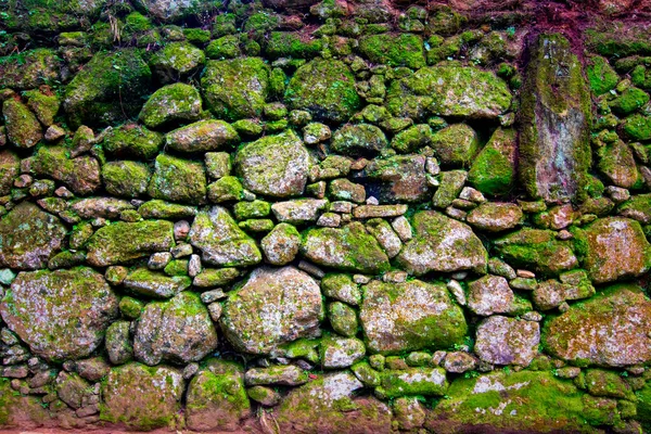 Grunge Parede Pedra Padrão Irregular Close Coberto Com Musgo Colorido — Fotografia de Stock