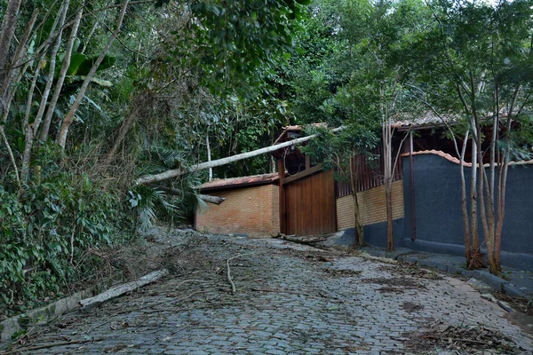 Petropolis Rio Janeiro Brasilien Mai 2018 Umgestürzte Bäume Und Trümmer — Stockfoto