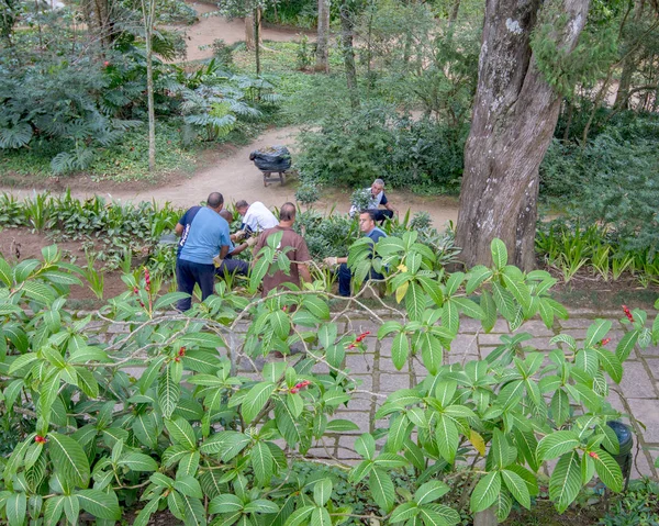 Petropolis Rio Janeiro Brésil Mai 2018 Jardiniers Travaillant Museu Imperial — Photo