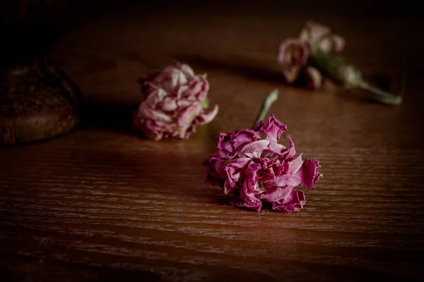 木製のテーブルの上に死んだ 乾燥した 乾燥したピンクのカーネーションの花を表示する抽象的な静物 損失と死の概念の通過 — ストック写真