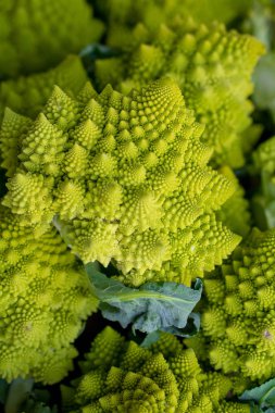 Romanesco brokoli (Brassica oleracea), yakın çekim, seçici odak, bir çiftçi pazarında satılık, açık yeşil baskın renk