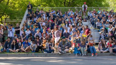 Davis, Kaliforniya, ABD 21nisan 2017. Kamu, UC Davis yıllık piknik günü sırasında geçit töreni izlemek için toplar. Piknik günü, üniversite bölümlerinin vitrinde Davis 'de UC California 'da mutlu bir gündü. Kamp üzerinde aile faaliyetleri var