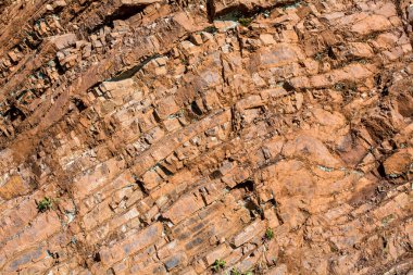 Franciscan Cherts üzerinde closeup Marin Headlands jeolojik oluşumları-Jeoloji arka plan veya zemin