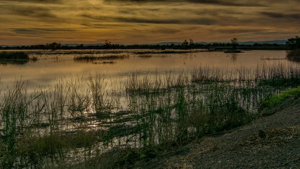 Gray Lodge Wildlife Alanında Gün Batımı Pennington California Abd Wate — Stok fotoğraf