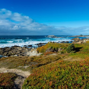 Pebble beach, çakıl plaj, Monterey Peninsula, C yakınındaki kıyı şeridi