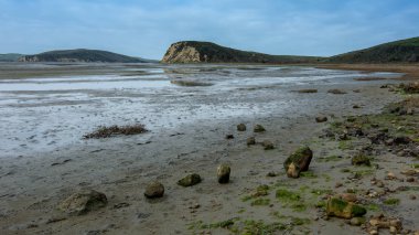 Panoramik okyanus, sonundaki Estero iz, Point Reyes Milli Seashore, Marin County, Kaliforniya, ABD, düşük tide, kısmen güneşli bir günde