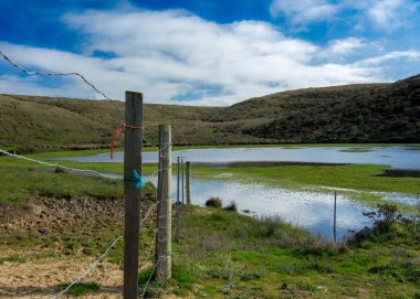 Estero iz, Point Reyes Milli Seashore, Marin County, Kaliforniya, ABD, boyunca düşük tide ve barb tel için güneşli bir otlatma sığır için bir haliç manzarası 