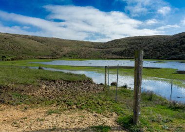 Estero iz, Point Reyes Milli Seashore, Marin County, Kaliforniya, ABD, boyunca düşük tide ve barb tel için güneşli bir otlatma sığır için bir haliç manzarası 