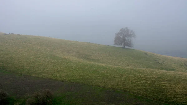 Ein Nebliger Morgen Auf Den Sanften Hügeln Des Lagunentales Park — Stockfoto