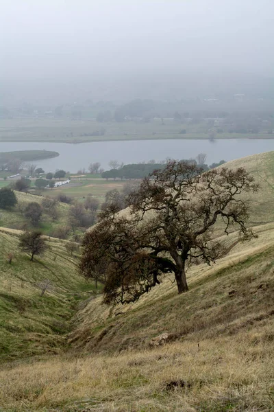 Panoramablick Auf Den Park Des Lagunentals Vacaville Kalifornien Usa Mit — Stockfoto