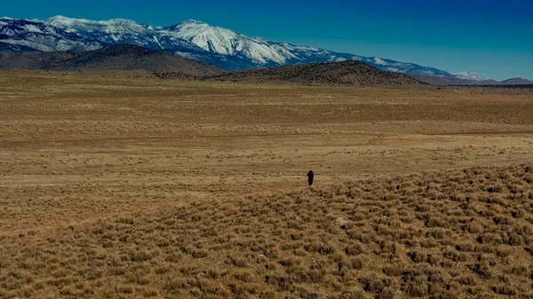 Przegląd wysokiej pustyni w Nevadzie — Zdjęcie stockowe