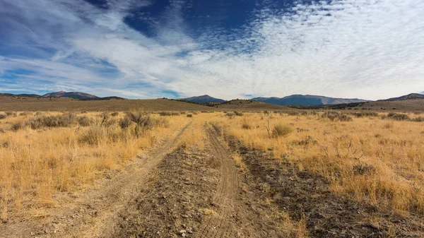 Overview of hIgh desert in Nevada — Stock Photo, Image