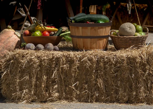 Frutas e produtos hortícolas - colheita — Fotografia de Stock