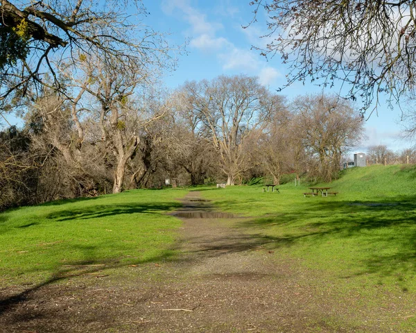 Path at the riparian preserve in Davis — Stock Photo, Image