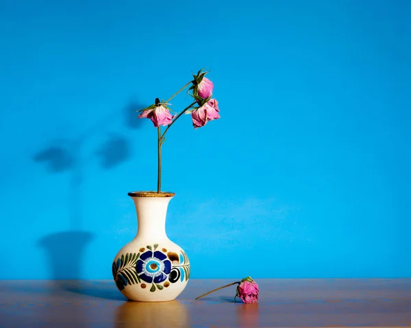 Welke Rosen gegen Blau — Stockfoto