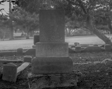 Yakında adını buraya koy.