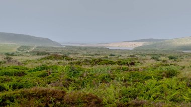 Abbotts Lagoon sisli bir günde uzaktan görüntülendi