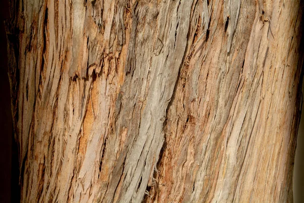 Holz Textur und Hintergrund — Stockfoto